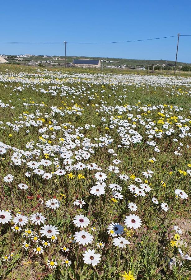 Aintree Farm Cottage Langebaan Exterior foto